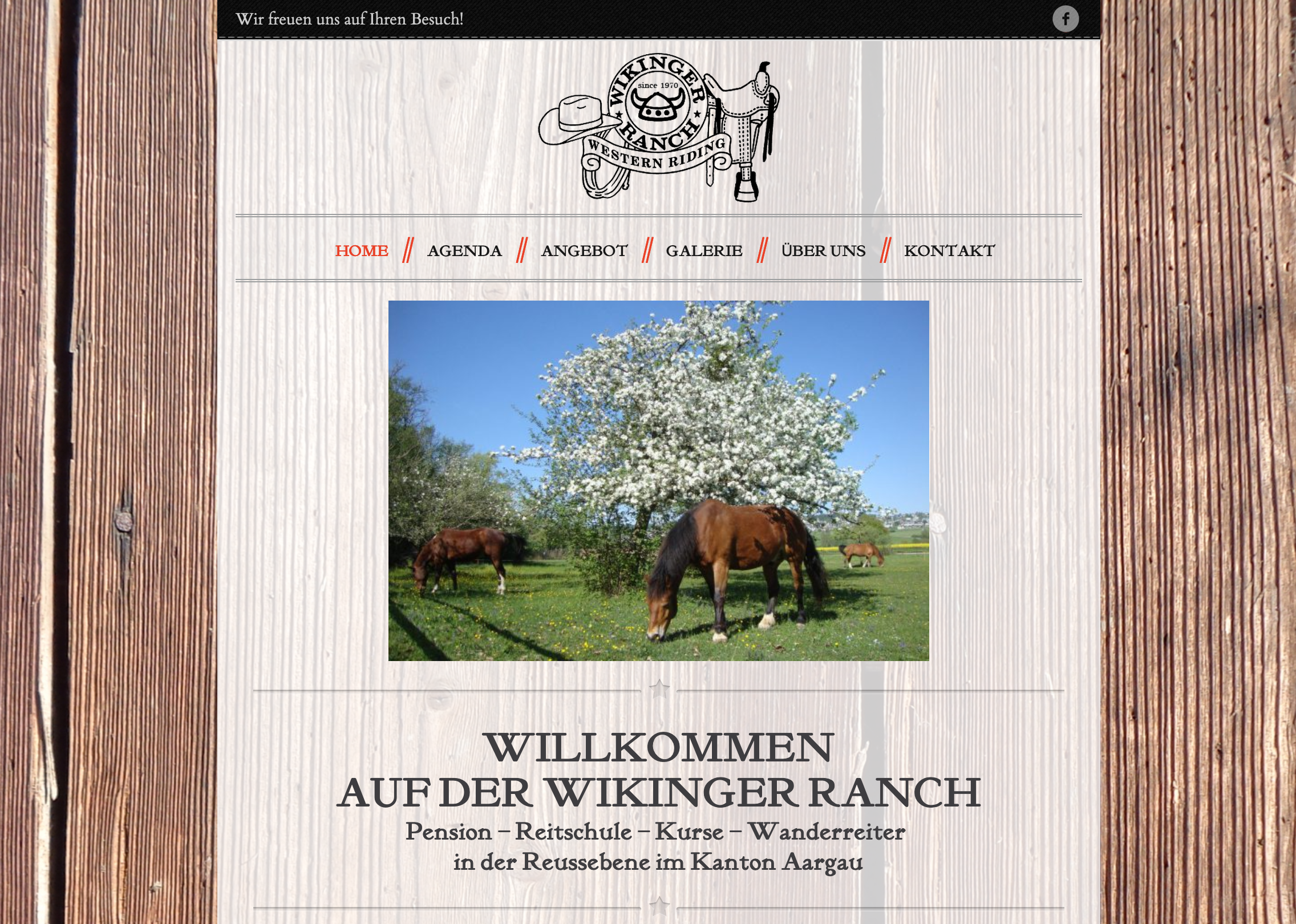 Website Wikinger Ranch